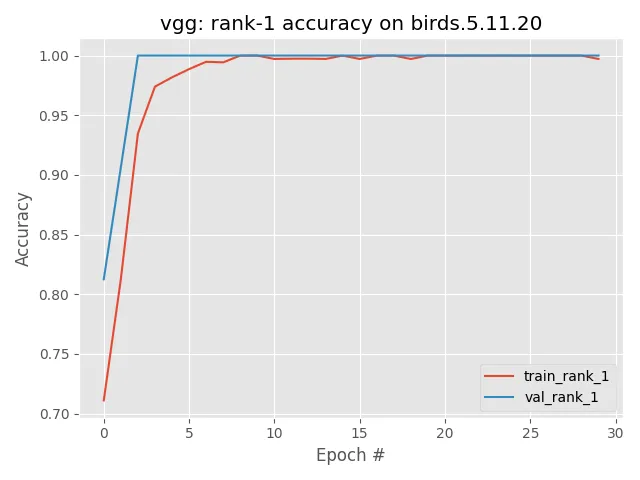 Bird Accuracy