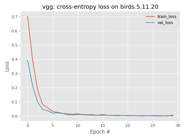 Bird Loss