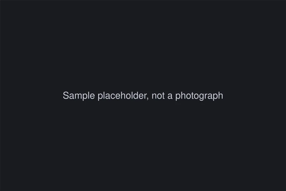 A flat dark grey panel with the words "Sample placeholder, not a photograph".