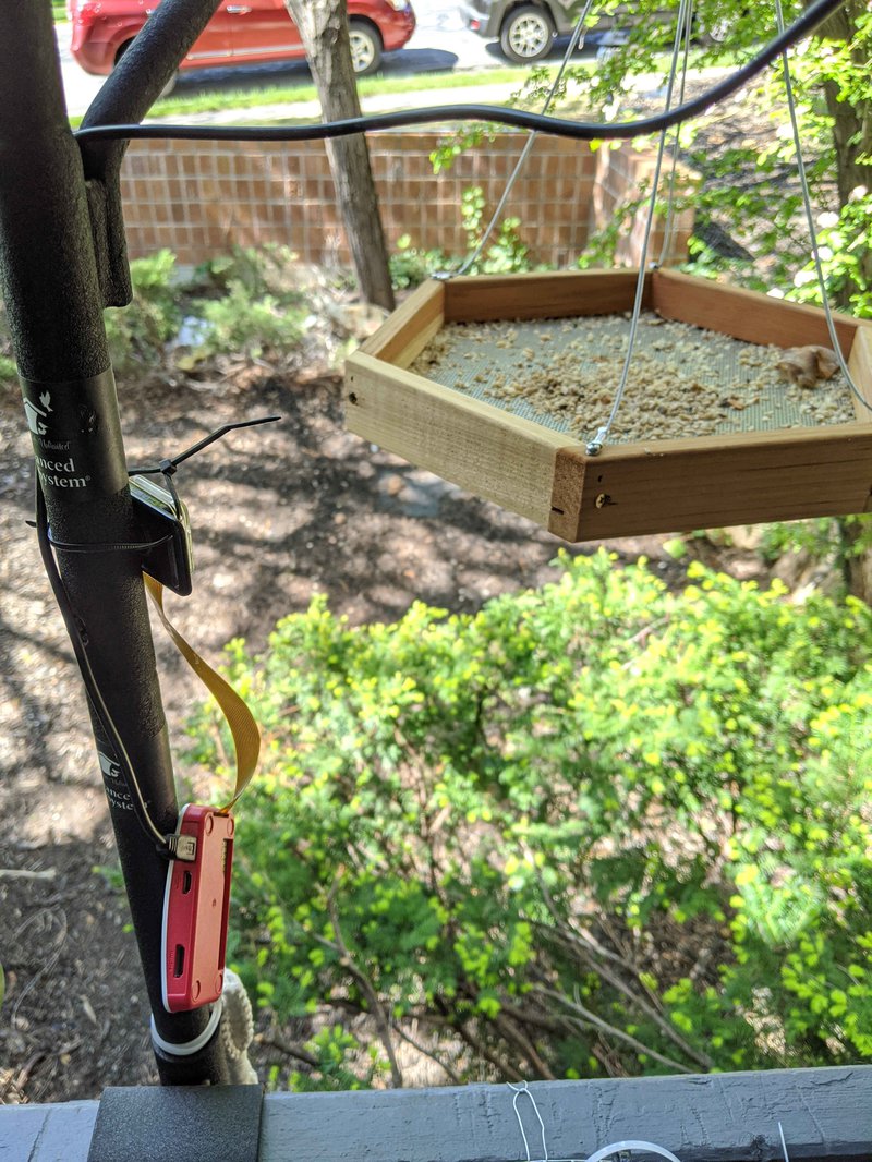 raspberry-pi-zero-bird-cam.jpg